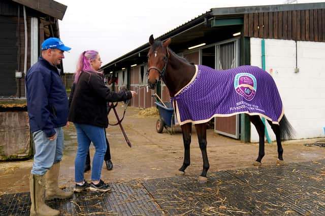 “When we first started working Big Evs with the likes of Raasel and Annaf, we knew he was something special and really quick because none of the other two-year-olds could get anywhere near him.”