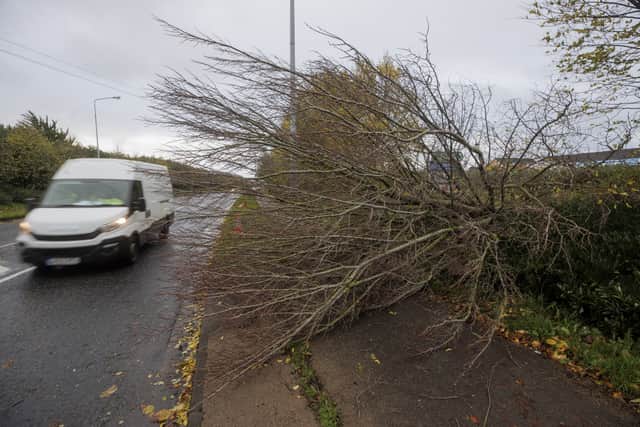 Downed trees and flooding were reported in Co Cavan while Louth County Council also recorded fallen power lines.