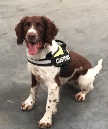 The seizure was made as a result of risk profiling and with the assistance of detector dog, Harley. Investigations are ongoing.