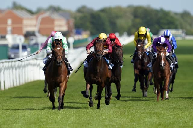 The four-year-old has progressed from handicaps to this level in the space of a season, most recently winning the Hungerford Stakes at Newbury by a length.