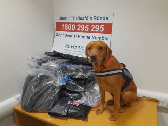 Dectector dog Blue pictured with cannabis seized at Dublin Airport last Friday