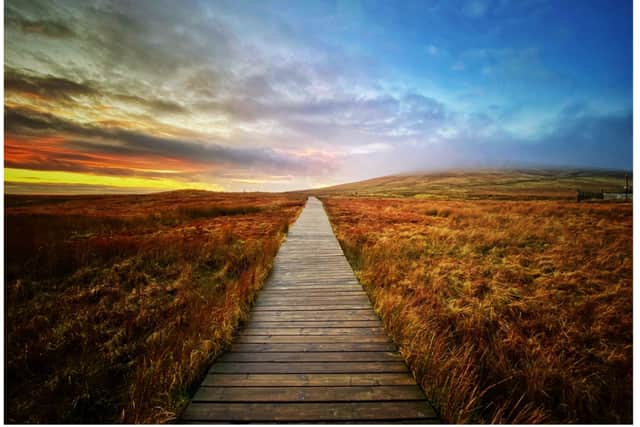 For panoramic views of Belfast, right in the heart of the Belfast Hills, Divis and the Black Mountain make an ideal walking spot, with views from the Divis summit even reaching Scotland on a clear day.