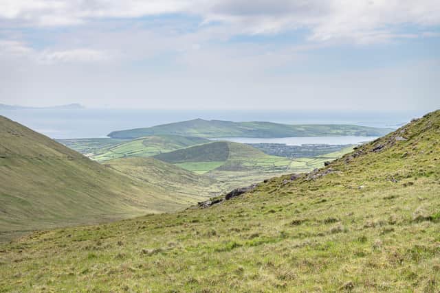 This has prompted calls from TDs and activists, including former general election candidate Saoirse McHugh, for the Government to buy the land and turn it into a national park.