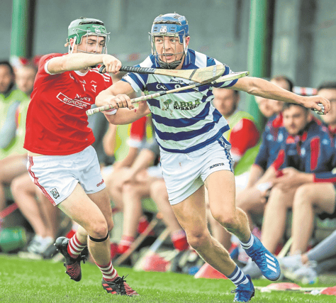David Reidy's Dromin-Athlacca in action against Bruff in the 2022 Premier IHC.