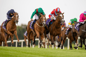 Shamida and Limerick jockey Chris Hayes (green cap) arrive late on the scene to win for Dermot Weld at Leopardstown on Thursday | PICTURE: Patrick McCann/Racing Post