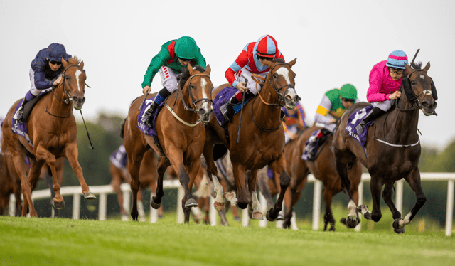 Shamida and Limerick jockey Chris Hayes (green cap) arrive late on the scene to win for Dermot Weld at Leopardstown on Thursday | PICTURE: Patrick McCann/Racing Post