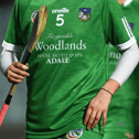 Limerick's junior camogie team exited the All-Ireland at the quarter-final stage with a loss to Roscommon