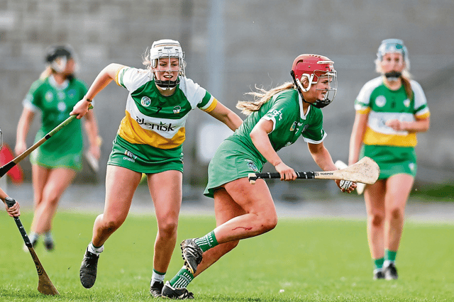 Limerick's Ciara Houlihan in action against Offaly earlier this year. PICTURE: Keith Wiseman