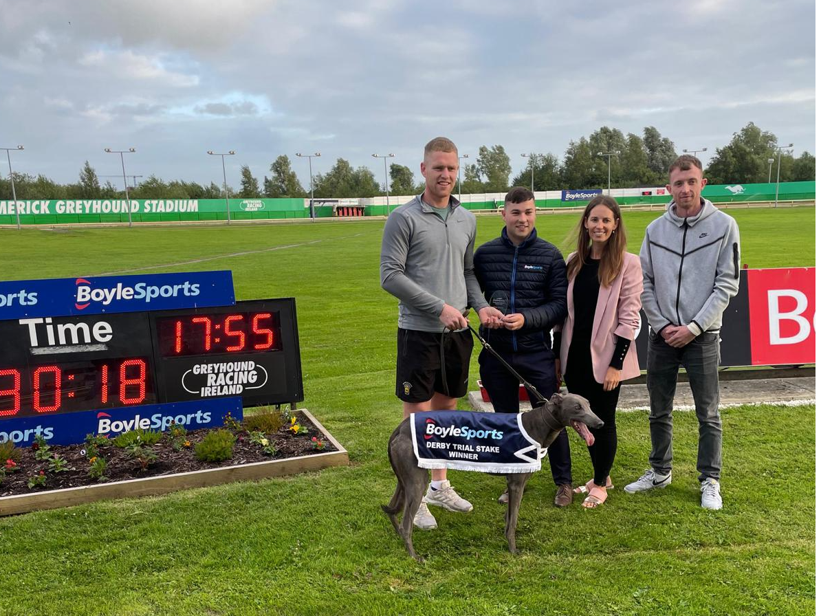 Bulletfromagun, winner of the BoyleSports Irish Greyhound Derby Trial Stake in Limerick Greyhound Stadium, on Saturday night