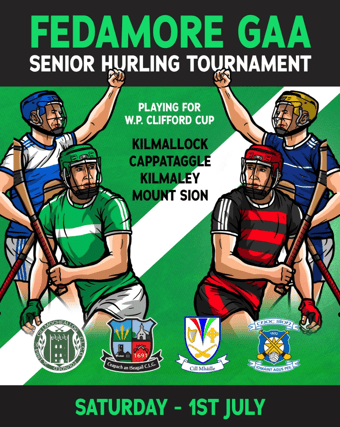 Fedamore GAA will host a senior hurling tournament at their grounds this coming a Saturday. PICTURE: Damien Quinn