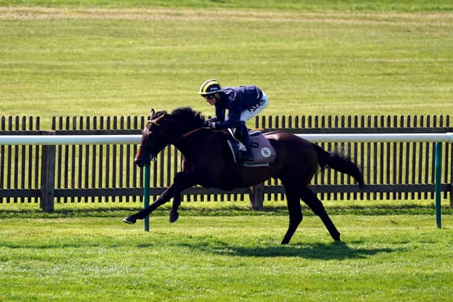 Despite racing over no further than six furlongs as a juvenile, Sakheer was upped to a mile for his return in the opening Classic of the season and while making promising progress at one stage, the testing conditions at Newmarket ultimately seemed to take a toll in the closing stages as he finished seven lengths adrift of Chaldean.