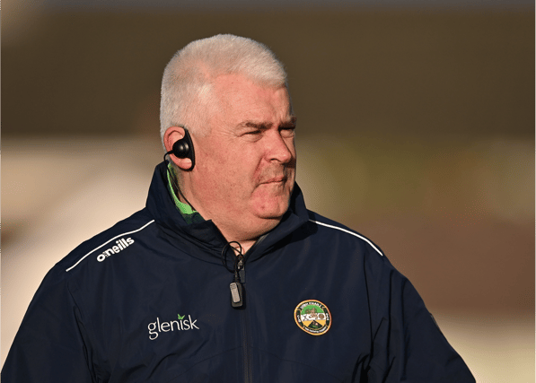 Current Offaly U20 manager and former Limerick hurler Leo O'Connor was among a panel of experts giving their opinion of Limerick's SHC season. PICTURE: Sportsfile