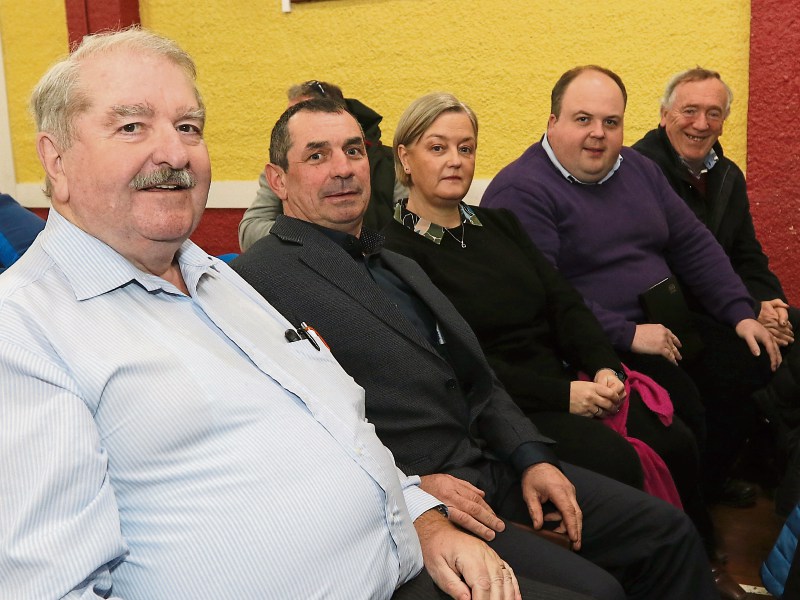 Members of the Adare-Rathkeale district approved the community funding