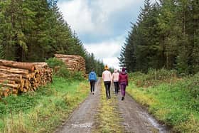 If you are up that way, take a break in Coolacurragh which is located about   about 8 km northwest of Durrow in Co Laois