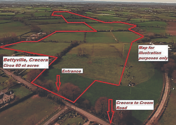 The 60 acres at Bettyville, Crecora, are laid out in well-proportioned paddocks with a central roadway through the lands