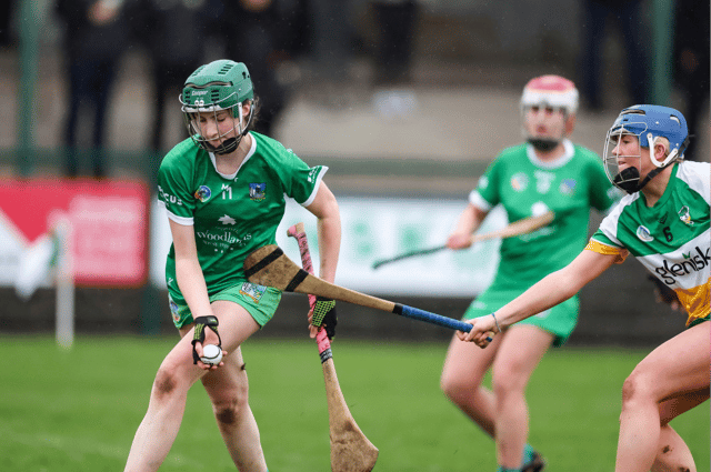 Limerick's Roisin O'Brien in action against Offaly in their minor clash last weekend. PICTURE: Keith Wiseman