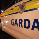 The incident happened on the N21, close to the Rathkeale exit