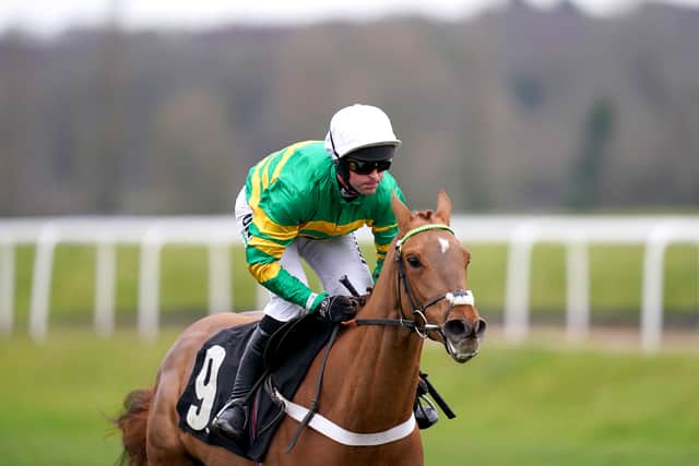 “She jumped beautifully. We actually schooled her this morning before we went to the races – Nico came and gave her a pop in the indoor school because it has taken her a bit of time to get the hang of it and it did her good actually.