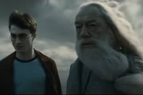 Harry Potter and Professor Albus Dumbledore in Harry Potter and the Half-Blood Prince