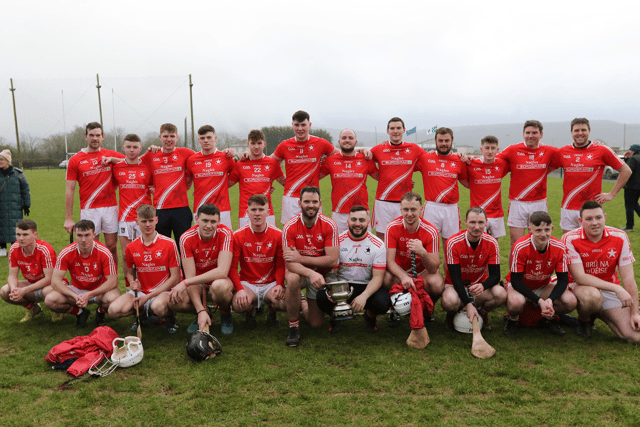 The Bruff team that won the Munster Junior B Hurling title in Killeedy. Picture: Brendan Gleeson