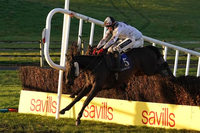 “He jumped brilliant today and he won well. Hopefully he can progress now into what we thought he might do. He loved the trip today, he travelled well and went through the ground well.