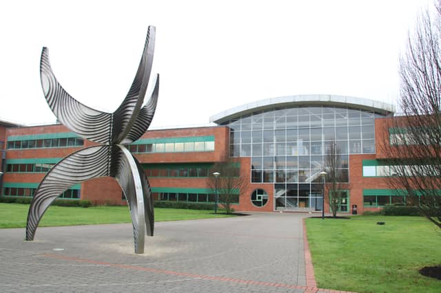 The study was carried out by researchers at UL | FILE PHOTO/Adrian Butler