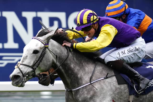 “We haven’t made a decision, but that is definitely on Paddy’s mind – he’s a jumping man at heart. We are going to consider it.”
