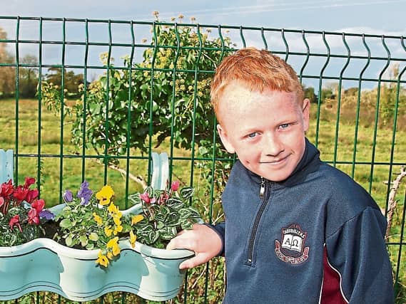 Budding ecologist Dylan Halpin, who attends Caherelly NS, found the first water stick insect in County Limerick