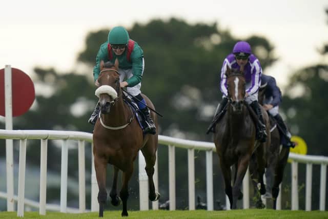 He said: “She’s a very talented filly and we’ll look forward to the spring. She’s on her winter break, 48 hours after she won we decided she’d go on holiday and have a nice break.