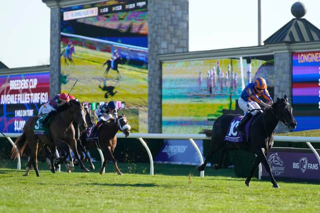 Weld opted to send Tahiyra, who has won each of her two starts, on a winter break following her two-and-a-quarter-length defeat of Meditate but her stock her certainly risen in her absence.
