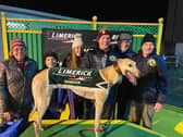 Fergal McAuliffe accepting after Drombeg ten won the Limerick Stadium A1 525 yds stake