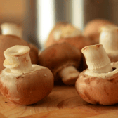 Mushrooms are a rich, low calorie source of fibre, protein, and antioxidants