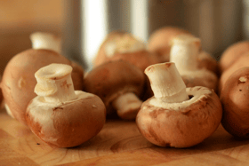 Mushrooms are a rich, low calorie source of fibre, protein, and antioxidants