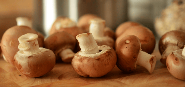 Mushrooms are a rich, low calorie source of fibre, protein, and antioxidants