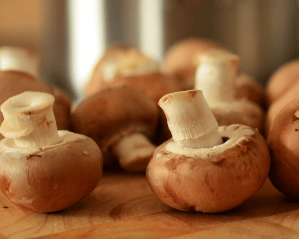 Mushrooms are a rich, low calorie source of fibre, protein, and antioxidants