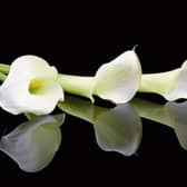 Deaths in Tipperary - Friday, November 23, 2018