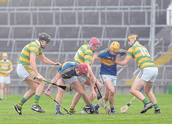 Patrickswell and South Liberties renew rivalries in the Limerick SHC this Sunday afternoon | PICTURE: Gareth Williams