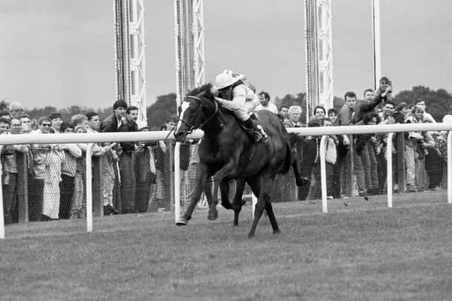 “It didn’t throw me off a bit, but I thought he would have enough stamina to lead me a good long way. So, I moved out a bit, because he came back real quick in the pack and he took a lot of horses with him.”