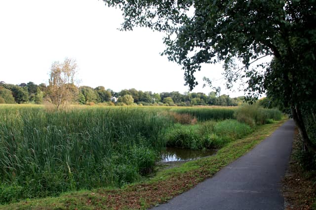 The Westfields Wetlands were described as a 'biodiversity gem' in the middle of Limerick | PICTURE: Adrian Butler