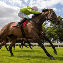 Marsa and Shanagolden jockey Chris Hayes score for trainer Edward Lynam at Gowran Park on Wednesday last Picture: Patrick McCann/Racing Post