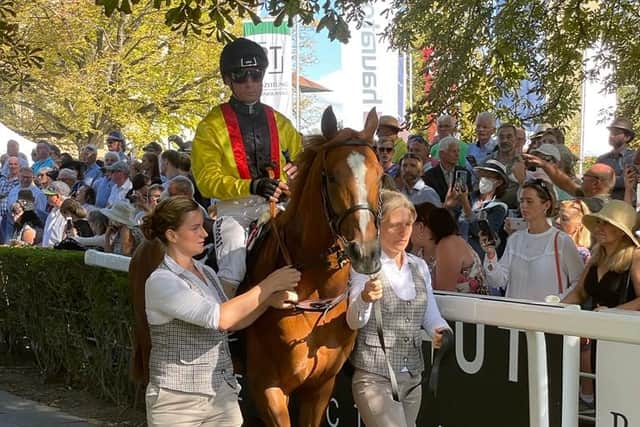 “He had no cover and was running with the nose in the wind the whole time. It couldn’t have gone any worse. And so we have to accept this result.