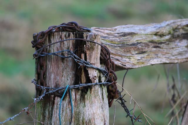 The ICMSA says farmers are being “terrorised in their own yards”.