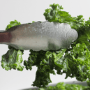 Kale contains four times the vitamin C content and twice the selenium content of spinach                                                                                                               