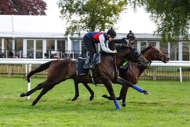 Doyle confident Naval Crown can sparkle at Deauville