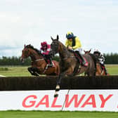 The Galway Festival continues on Friday evening with more cracking action at the track. PIC: Sportsfile