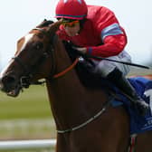 Apprentice suffered major chest trauma after being unseated on Thursday