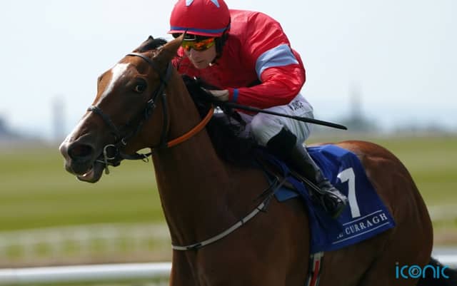 Apprentice suffered major chest trauma after being unseated on Thursday