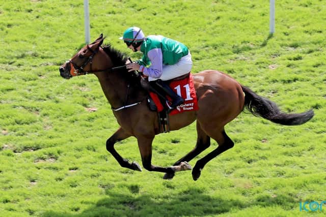 “It’s limited what she can go for so we may give her a break and try to get some black type early autumn. She’s not a winter girl.”
