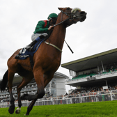 Tahiyra with Shanagolden jockey Chris Hayes up, on their way to winning the Colm Quinn BMW Irish EBF Fillies Maiden during day two of the Galway Races Summer Festival