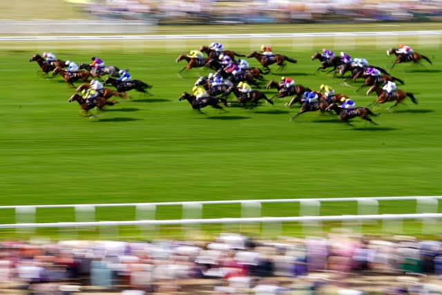 “But the bigger problem is the owners of horses rated 80-85 getting offers up to £250,000 to go off to America to win a maiden worth $100,000 so the reduction in the number of horses at the top end is quite dramatic.